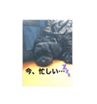 めーのつぶやき（個別スタンプ：8）
