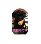 めーのつぶやき（個別スタンプ：12）