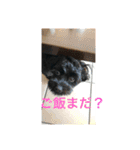 めーのつぶやき（個別スタンプ：14）