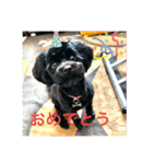 めーのつぶやき（個別スタンプ：16）