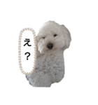 ふく＆らら スタンプ（個別スタンプ：10）