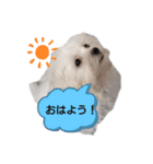ふく＆らら スタンプ（個別スタンプ：18）