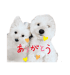 ふく＆らら スタンプ（個別スタンプ：22）