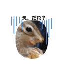 ひだまりニャンズ②（個別スタンプ：4）