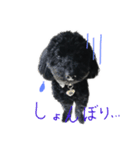 まっくろくぅちゃんⅠ（個別スタンプ：7）