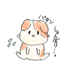 ハムピコロのスタンプ（個別スタンプ：36）