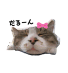 love！like！（個別スタンプ：9）