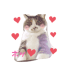 love！like！（個別スタンプ：17）
