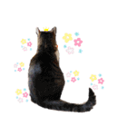 love！like！（個別スタンプ：20）