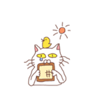 ねこねこちゃんちゃん（個別スタンプ：21）