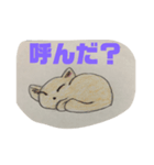 Masyの猫（個別スタンプ：2）