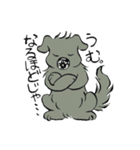 Y-Wan's（個別スタンプ：11）