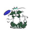 Y-Wan's（個別スタンプ：36）