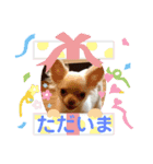 ラナくん（個別スタンプ：8）