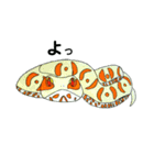 ニホンマムシのイラストスタンプ（個別スタンプ：8）