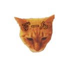 みーにゃんのスタンプ（個別スタンプ：1）