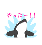 maru＊arium（Daily ver.）（個別スタンプ：19）