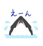 maru＊arium（Daily ver.）（個別スタンプ：30）