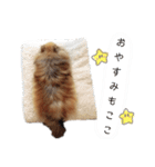 もこりくスタンプ②（個別スタンプ：4）
