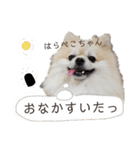 もこりくスタンプ②（個別スタンプ：7）