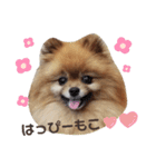 もこりくスタンプ②（個別スタンプ：10）