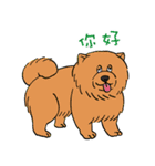 中国語版サブリミナルミヤベ（個別スタンプ：1）