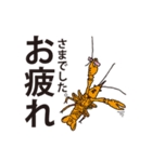 ザリ山ガニ彦（個別スタンプ：26）