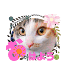 ミュウさん海さん（個別スタンプ：1）