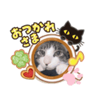 ミュウさん海さん（個別スタンプ：3）