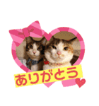 ミュウさん海さん（個別スタンプ：5）