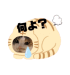 ミュウさん海さん（個別スタンプ：12）