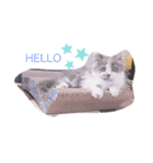 ブリッとちゃん♡（個別スタンプ：3）