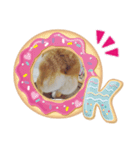 コーギーのゆうな2（個別スタンプ：8）