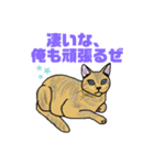 ねこねこフェスタ（応援バージョン）（個別スタンプ：2）