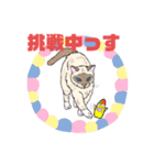 ねこねこフェスタ（応援バージョン）（個別スタンプ：3）