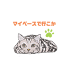 ねこねこフェスタ（応援バージョン）（個別スタンプ：4）