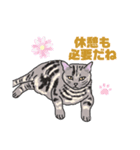 ねこねこフェスタ（応援バージョン）（個別スタンプ：5）