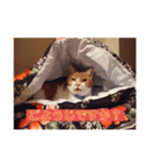 猫と蝶のまったりしたスタンプ2（個別スタンプ：4）