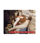 猫と蝶のまったりしたスタンプ2（個別スタンプ：6）
