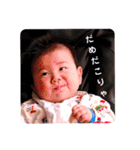 ぽん助とこゆき（個別スタンプ：33）