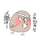 フクロウのぴゆー（個別スタンプ：3）