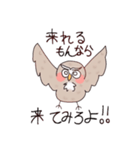 フクロウのぴゆー（個別スタンプ：7）