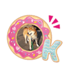 柴犬＊くりの日常言葉（個別スタンプ：3）
