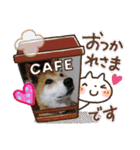 柴犬＊くりの日常言葉（個別スタンプ：24）