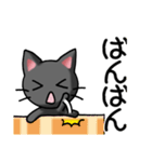 猫まとぺ（その1）（個別スタンプ：13）