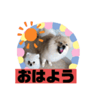 もなむぎのご挨拶（個別スタンプ：1）
