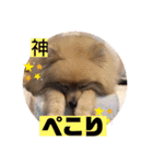 もなむぎのご挨拶（個別スタンプ：8）
