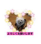 もなむぎのご挨拶（個別スタンプ：11）