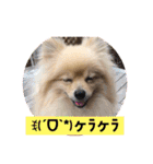 もなむぎのご挨拶（個別スタンプ：15）