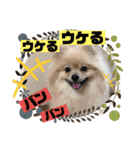 もなむぎのご挨拶（個別スタンプ：17）
